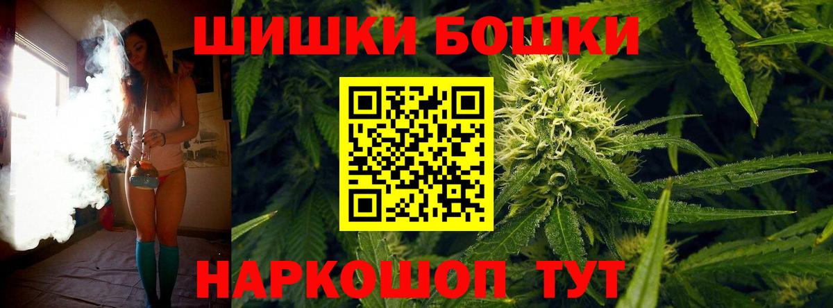 Бошки Шишки семена Соль-Илецк